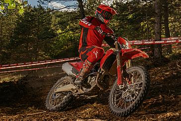 Desmo450 EDS: Personal Playground