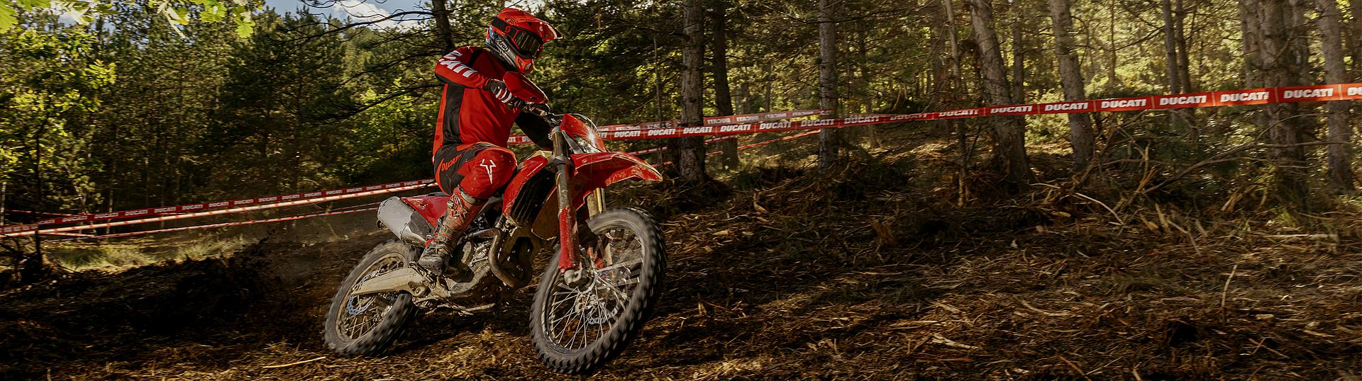 Desmo450 EDS Slide 4 Desmo450 EDS Slide 4
