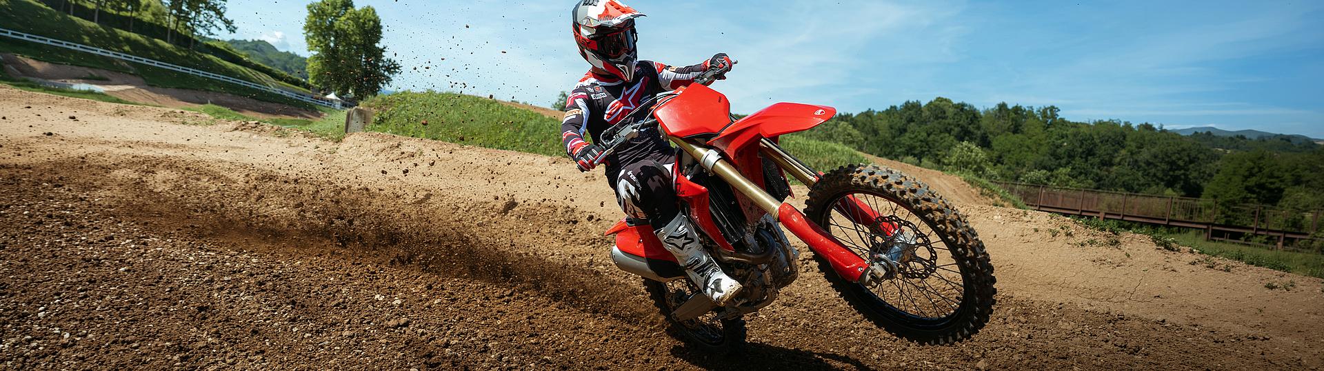 Desmo250 MX Slide 1
